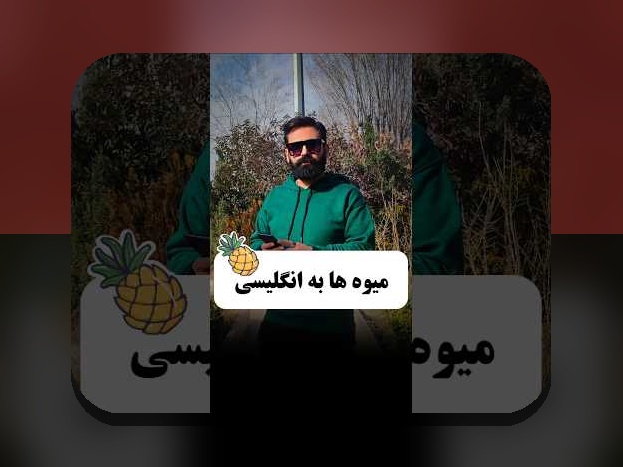 همه چیز درباره سنجد به انگلیسی: پاسخ به سوالات رایج درباره اصطلاحات در سایت شرط بندی